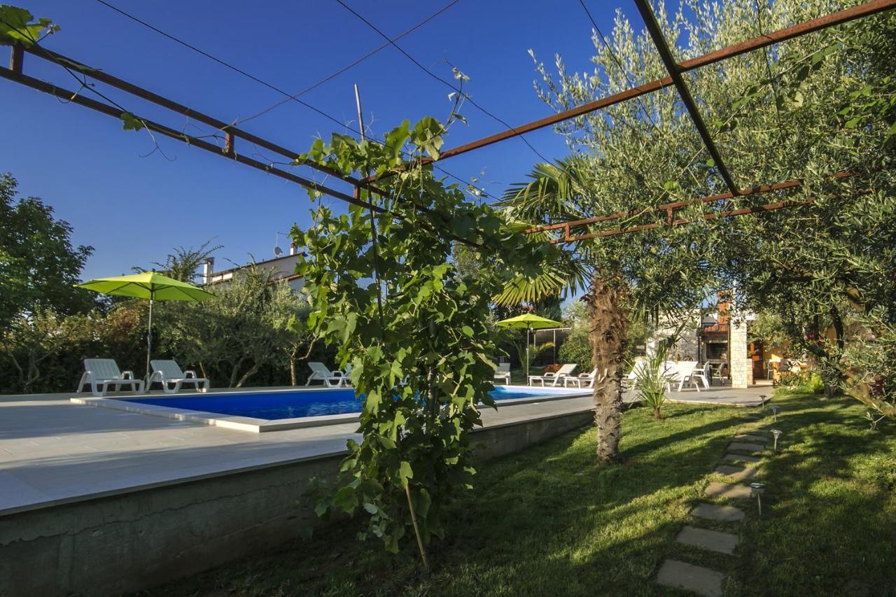 Livija 3 Apartmán